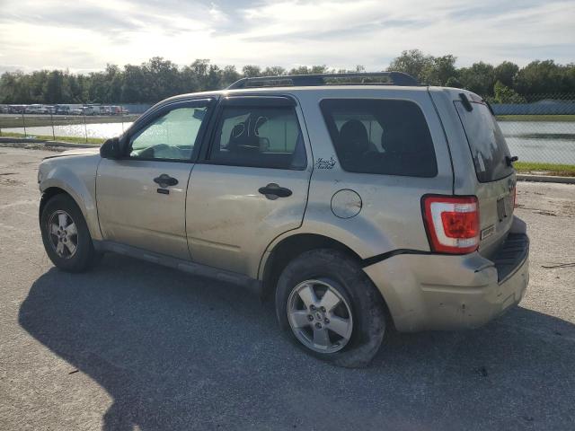 Photo 2 from auction – 2010 FORD ESCAPE XLT with VIN 1FMCU0D74AKD34204