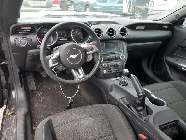 Photo 8 from auction – 2017 FORD MUSTANG with VIN 1FA6P8AM3H5225085