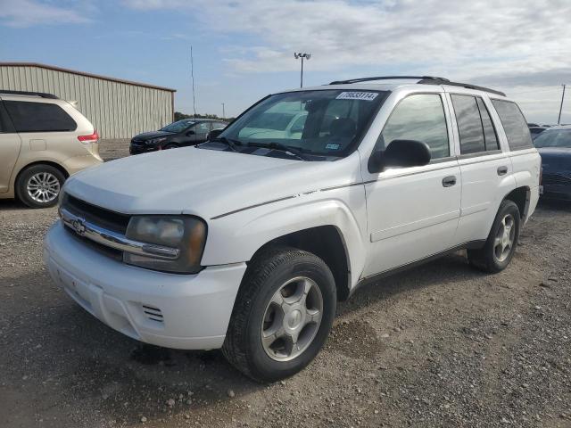 CHEVROLET TRAILBLAZE 2008 with VIN 1GNDT13SX82241941 - Photo from auction