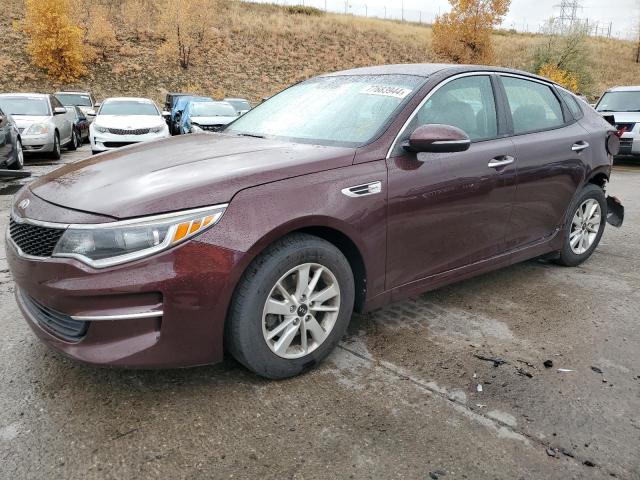 KIA OPTIMA LX 2016 with VIN 5XXGT4L38GG019214 - Photo from auction
