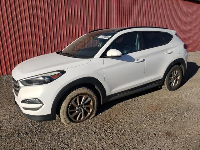 HYUNDAI TUCSON LIM 2017 with VIN KM8J3CA49HU263618 - Photo from auction