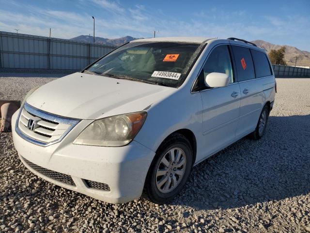 Photo 1 from auction – 2009 HONDA ODYSSEY EX with VIN 5FNRL38499B021161