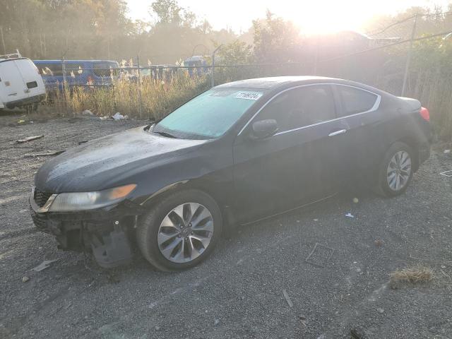 HONDA ACCORD EXL 2014 with VIN 1HGCT1B83EA016399 - Photo from auction
