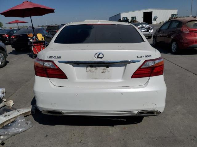Photo 6 from auction – 2010 LEXUS LS 460 with VIN JTHBL5EF1A5091647