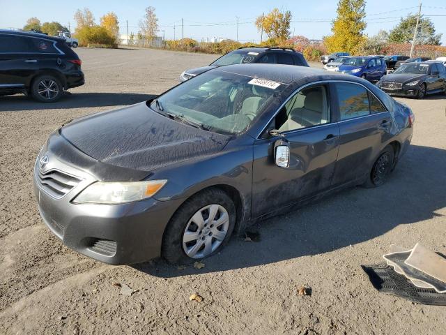 TOYOTA CAMRY BASE 2010 with VIN 4T1BF3EK2AU084766 - Photo from auction