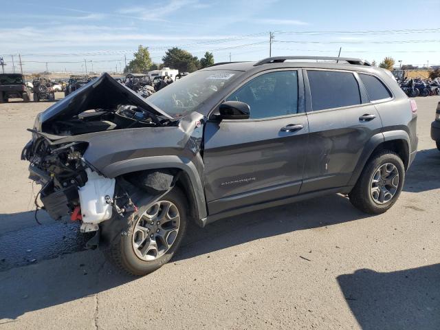 JEEP CHEROKEE T 2022 with VIN 1C4PJMBX5ND549190 - Photo from auction