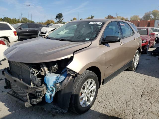 CHEVROLET EQUINOX LS 2018 with VIN 2GNAXHEV5J6161348 - Photo from auction
