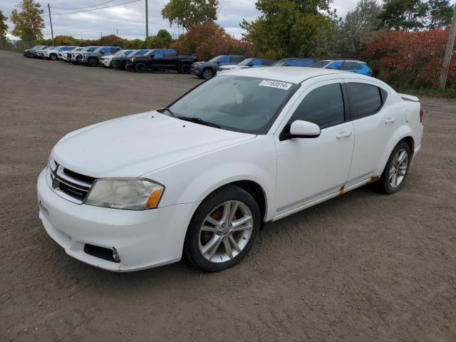 DODGE AVENGER MA 2011 with VIN 1B3BD1FB6BN557613 - Photo from auction