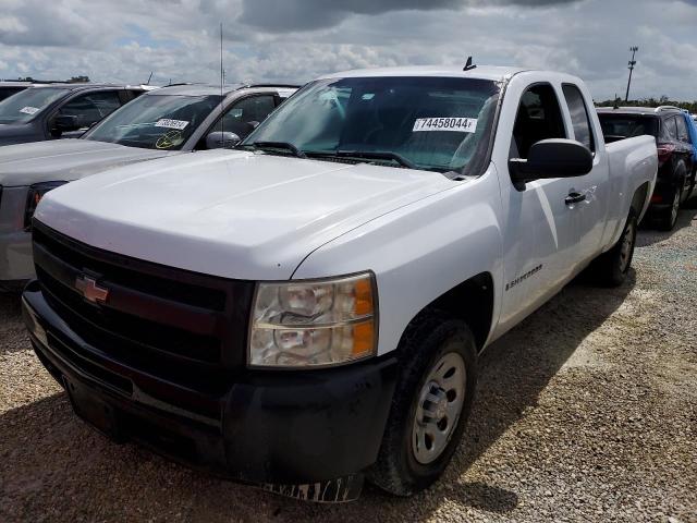 CHEVROLET SILVERADO 2009 with VIN 1GCEC19X39Z113517 - Photo from auction