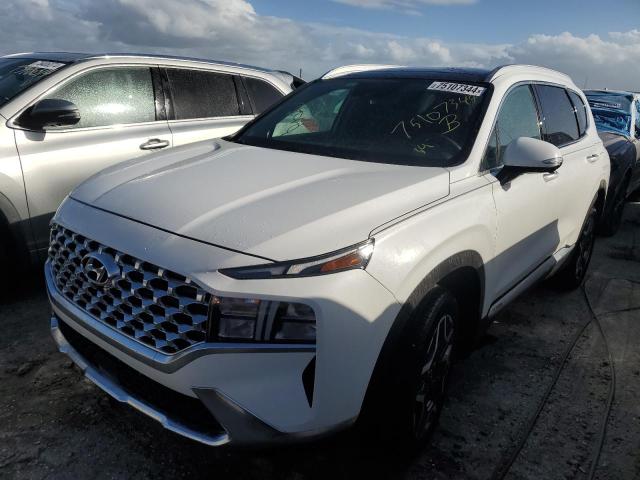 HYUNDAI SANTA FE S 2023 with VIN 5NMS3DA11PH006172 - Photo from auction