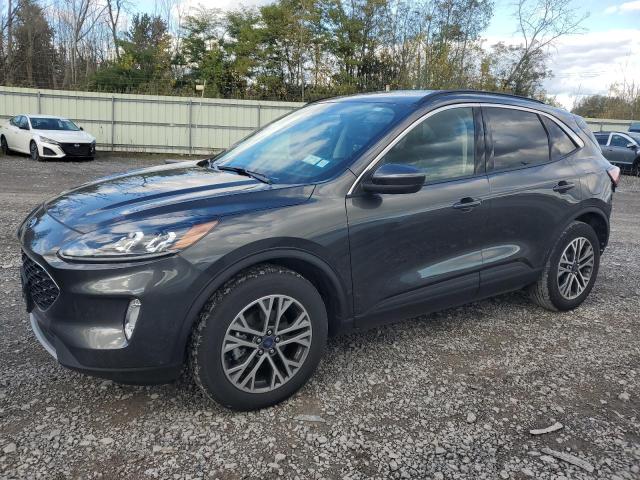 FORD ESCAPE SEL 2020 with VIN 1FMCU9H95LUA04952 - Photo from auction