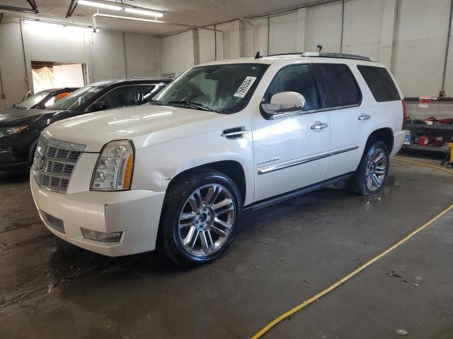 CADILLAC ESCALADE P 2010 with VIN 1GYUKDEF2AR153177 - Photo from auction