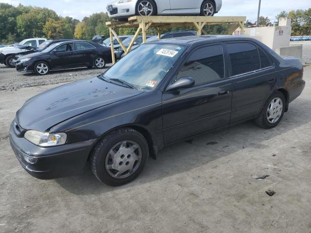 Photo 1 from auction – 1999 TOYOTA COROLLA VE with VIN 2T1BR18E9XC231693