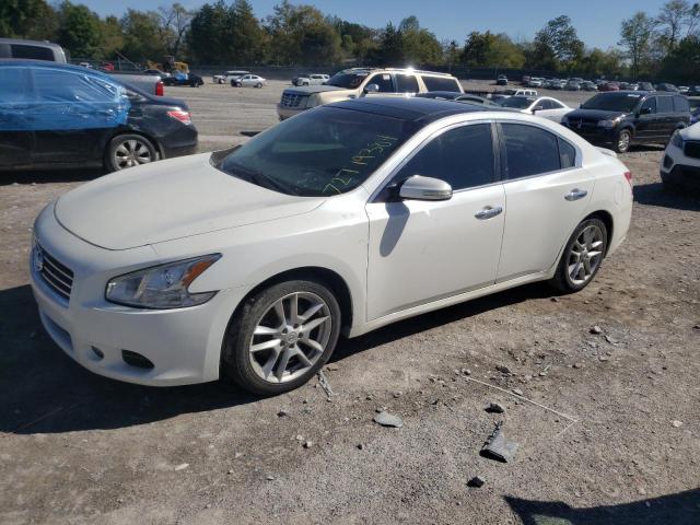 NISSAN MAXIMA 2011 with VIN 1N4AA5AP1BC804924 - Photo from auction