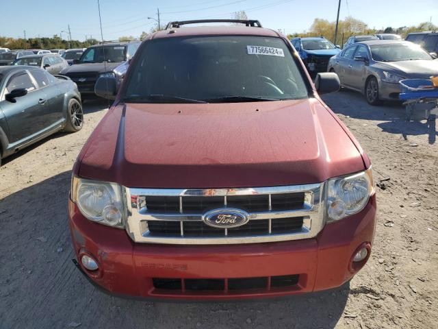 Photo 5 from auction – 2011 FORD ESCAPE XLT with VIN 1FMCU9DG4BKC00606