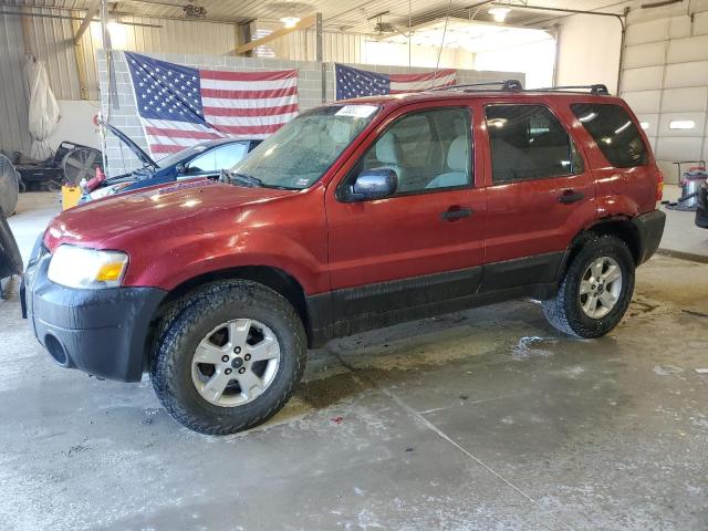 Photo 1 from auction – 2007 FORD ESCAPE XLT with VIN 1FMYU93Z77KA76279