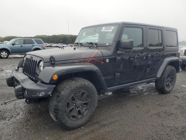 JEEP WRANGLER U 2016 with VIN 1C4BJWEG0GL244027 - Photo from auction
