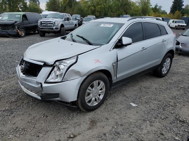 CADILLAC SRX 2013 with VIN 3GYFNAE39DS515379 - Photo from auction