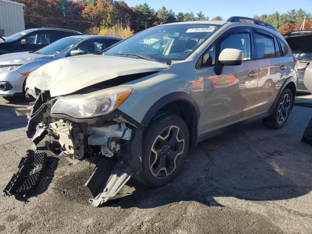 SUBARU XV CROSSTR 2013 with VIN JF2GPACC2D1867911 - Photo from auction