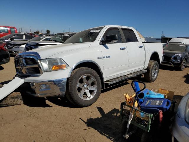 DODGE RAM 1500 2010 with VIN 1D7RV1CT6AS136892 - Photo from auction