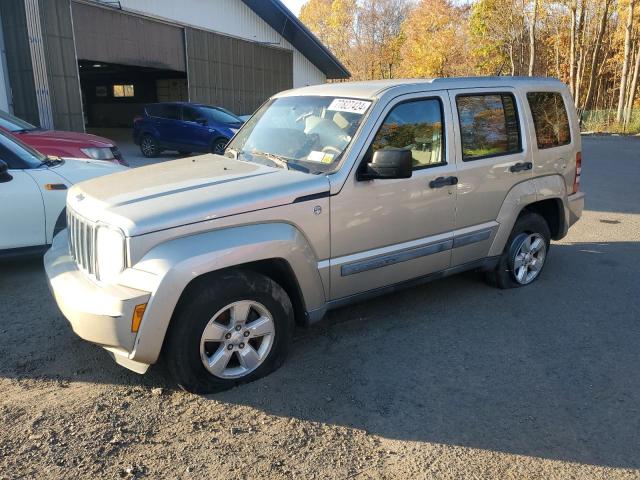 JEEP LIBERTY SP 2011 with VIN 1J4PN2GK0BW591332 - Photo from auction
