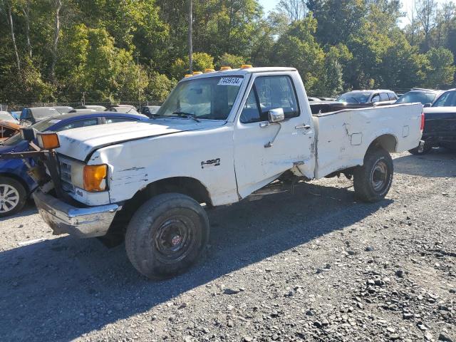 FORD F250 1990 with VIN 1FTHF26H2LNA64235 - Photo from auction