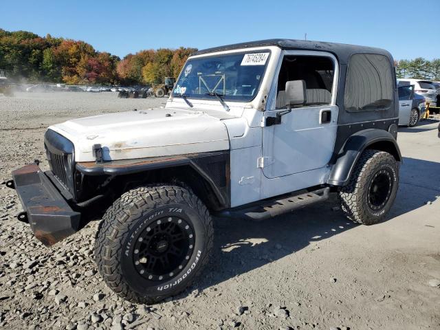 JEEP WRANGLER / 1998 with VIN 1J4FY29P7WP731274 - Photo from auction