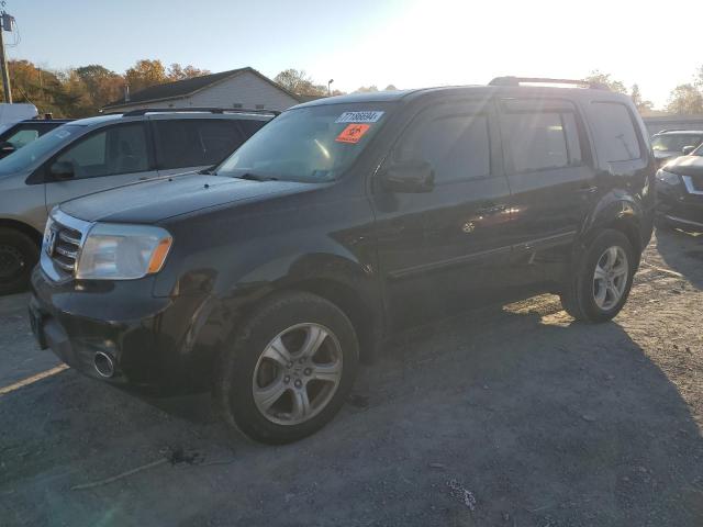 HONDA PILOT EXLN 2014 with VIN 5FNYF4H77EB043754 - Photo from auction