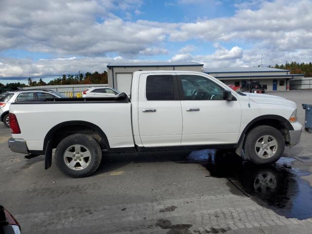 Photo 3 from auction – 2010 DODGE RAM 1500 with VIN 1D7RV1GP8AS160589