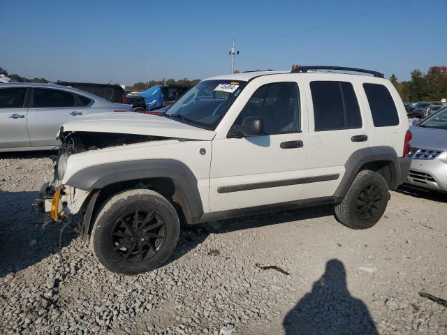 JEEP LIBERTY SP 2007 with VIN 1J4GL48K97W542301 - Photo from auction