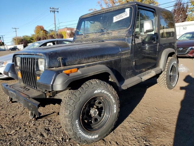 JEEP WRANGLER / 1993 with VIN 1J4FY29S1PP235666 - Photo from auction