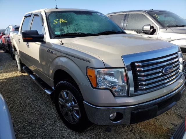 Photo 4 from auction – 2010 FORD F150 SUPER with VIN 1FTEW1C88AFD73717
