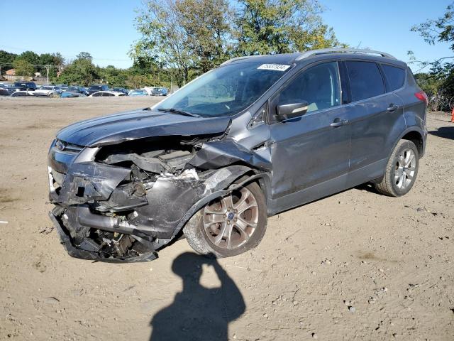 FORD ESCAPE TIT 2014 with VIN 1FMCU9J90EUD60092 - Photo from auction