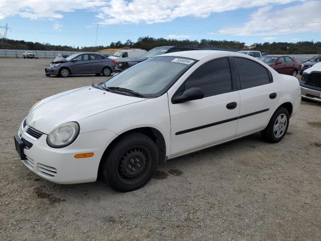 DODGE NEON SE 2003 with VIN 1B3ES26C93D175391 - Photo from auction