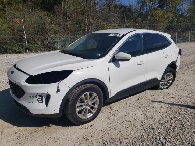 FORD ESCAPE SE 2021 with VIN 1FMCU0G64MUB28313 - Photo from auction