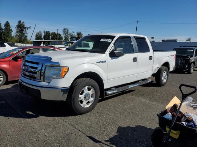 FORD F150 SUPER 2010 with VIN 1FTFW1EV3AFC07709 - Photo from auction