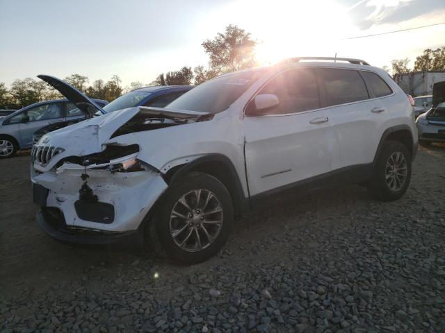 JEEP CHEROKEE L 2019 with VIN 1C4PJMLN1KD135364 - Photo from auction
