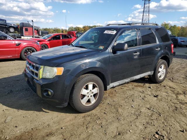 FORD ESCAPE XLT 2010 with VIN 1FMCU9DG4AKD16144 - Photo from auction