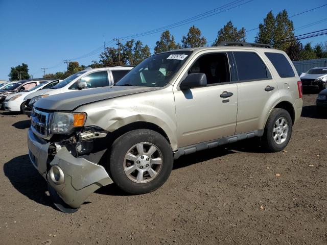 FORD ESCAPE XLT 2011 with VIN 1FMCU9DG5BKA41014 - Photo from auction