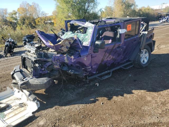 JEEP WRANGLER U 2017 with VIN 1C4BJWDG1HL742546 - Photo from auction