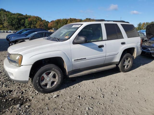 CHEVROLET TRAILBLAZE 2003 with VIN 1GNDT13S632268613 - Photo from auction