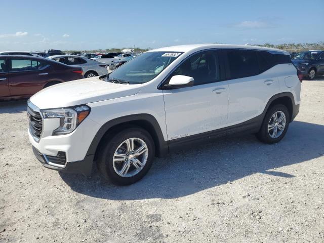 GMC TERRAIN SL 2024 with VIN 3GKALMEG6RL220532 - Photo from auction