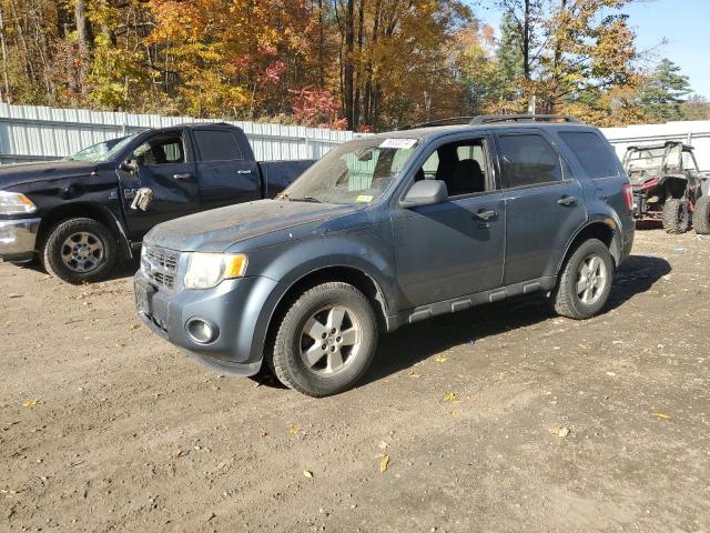 FORD ESCAPE XLT 2010 with VIN 1FMCU0D7XAKC48332 - Photo from auction