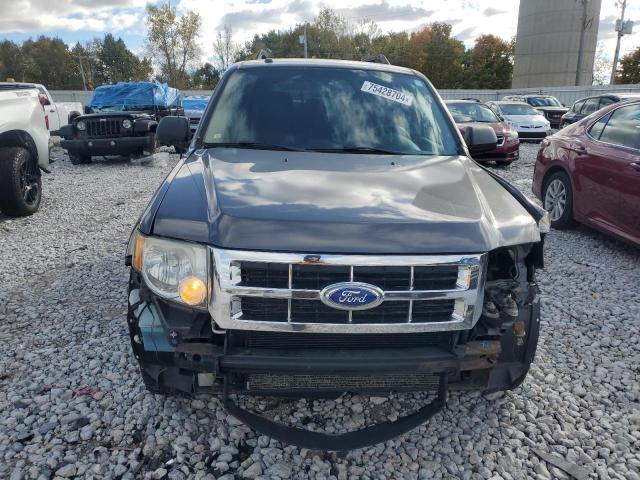 Photo 5 from auction – 2011 FORD ESCAPE XLT with VIN 1FMCU0DG2BKC04021