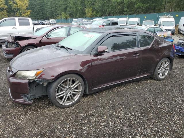 TOYOTA SCION TC 2011 with VIN JTKJF5C71B3002391 - Photo from auction