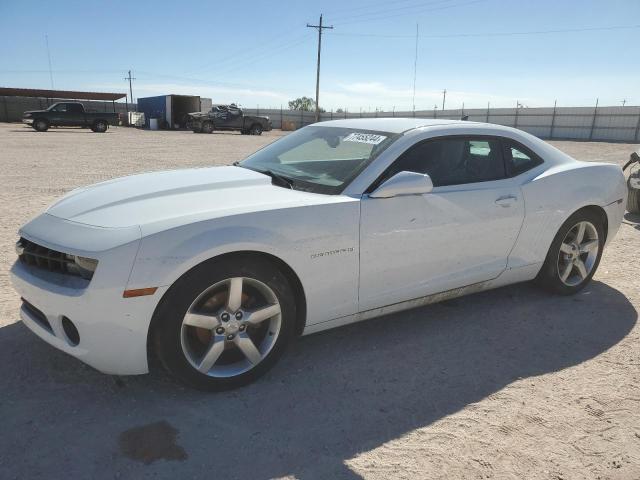 CHEVROLET CAMARO LT 2011 with VIN 2G1FC1EDXB9158088 - Photo from auction