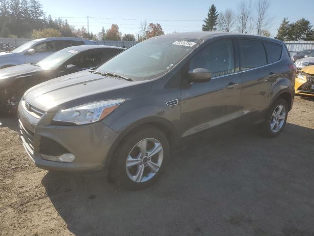 FORD ESCAPE SE 2014 with VIN 1FMCU0GX7EUA08502 - Photo from auction