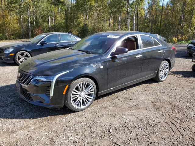 Photo 1 from auction – 2021 CADILLAC CT4 PREMIU with VIN 1G6DF5RL9M0111469