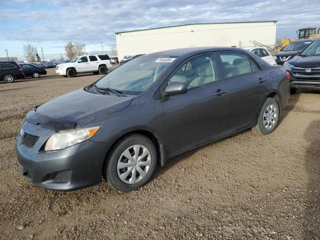 TOYOTA COROLLA BA 2010 with VIN 2T1BU4EE4AC241382 - Photo from auction