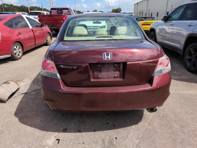 Photo 6 from auction – 2010 HONDA ACCORD LXP with VIN 1HGCP2F49AA101503